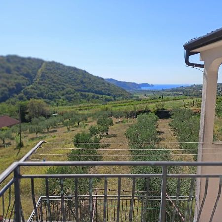 Saleto Apartma Jagodje ภายนอก รูปภาพ