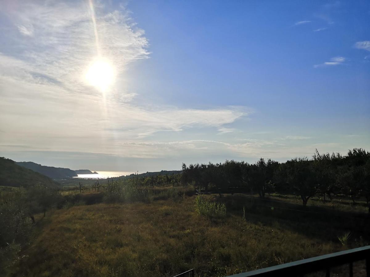 Saleto Apartma Jagodje ภายนอก รูปภาพ