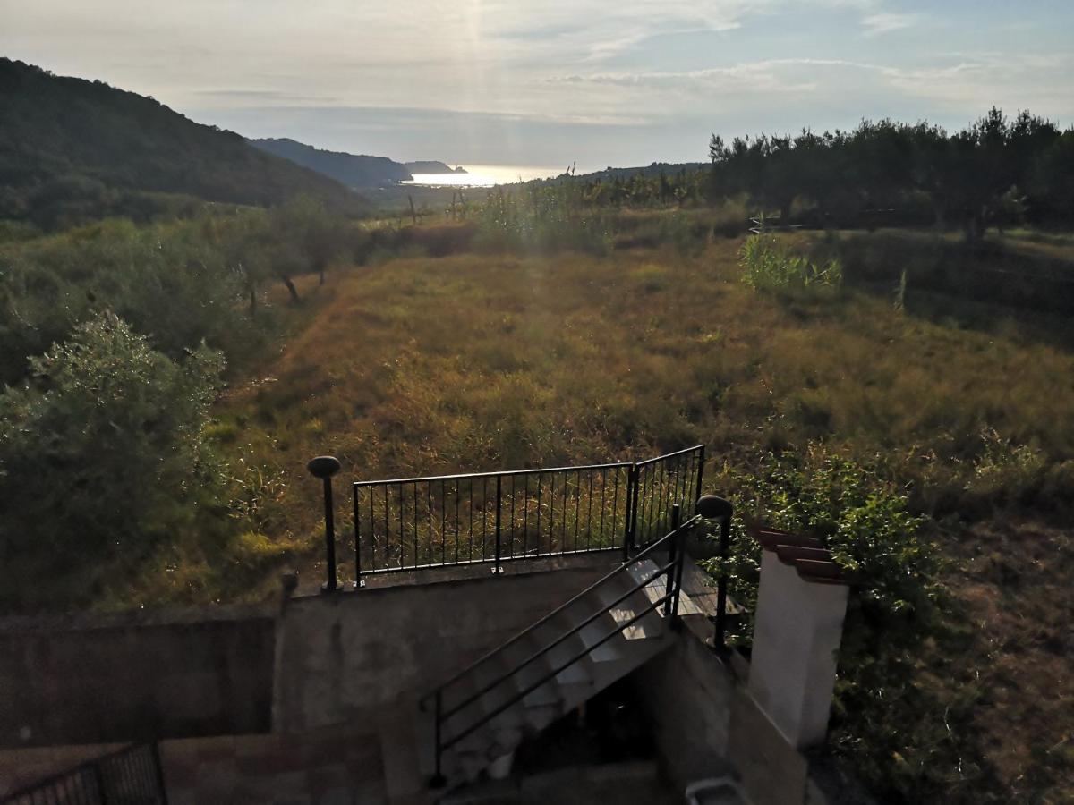 Saleto Apartma Jagodje ภายนอก รูปภาพ